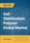 Soil Stabilization Polymer Global Market Report 2026 - Product Thumbnail Image