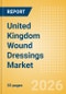 United Kingdom Wound Dressings Market Outlook to 2033 - Advanced Wound Dressings, Wound Contact Layers and Superabsorbents - Product Thumbnail Image