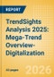 TrendSights Analysis 2025: Mega-Trend Overview-Digitalization - Product Thumbnail Image
