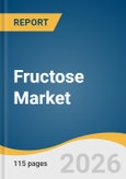 Fructose Market Size, Share & Trends Analysis Report by Product, Application, Region, and Segment Forecasts, 2026-2033- Product Image