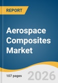 Aerospace Composites Market Size, Share & Trends Analysis Report by Product, Application, Region, and Segment Forecasts, 2026-2033- Product Image