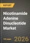 Nicotinamide Adenine Dinucleotide Market Size, Share & Growth Analysis Report - Industry Trends, Competitive Landscape, Segment Insights and Forecast 2024-2034 - Product Thumbnail Image