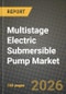 Multistage Electric Submersible Pump Market Outlook 2026-2034: Market Share, and Growth Analysis by Well Type, Component, Application, End-User Industry - Product Thumbnail Image