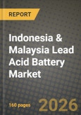 Indonesia & Malaysia Lead Acid Battery Market Outlook 2026-2034: Market Share, and Growth Analysis by Battery Type, Application, End-User, Distribution Channel- Product Image