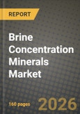 Brine Concentration Minerals Market Outlook 2026-2034: Market Share, and Growth Analysis by Product Type, Application, Source, End-user Industry- Product Image