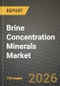 Brine Concentration Minerals Market Outlook 2026-2034: Market Share, and Growth Analysis by Product Type, Application, Source, End-user Industry - Product Thumbnail Image