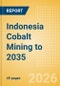 Indonesia Cobalt Mining to 2035 - Product Image