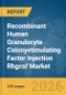Recombinant Human Granulocyte Colonystimulating Factor Injection Rhgcsf Market Report 2026 - Product Thumbnail Image
