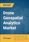 Drone Geospatial Analytics Market Report 2026 - Product Thumbnail Image