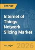 Internet of Things (IoT) Network Slicing Market Report 2026- Product Image