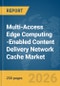 Multi-Access Edge Computing (MEC)-Enabled Content Delivery Network Cache Market Report 2026 - Product Image