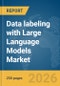 Data labeling with Large Language Models (LLMs) Market Report 2026 - Product Thumbnail Image