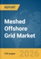 Meshed Offshore Grid Market Report 2026 - Product Thumbnail Image