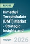 Dimethyl Terephthalate (DMT) Market - Strategic Insights and Forecasts (2026-2031) - Product Thumbnail Image