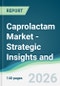 Caprolactam Market - Strategic Insights and Forecasts (2026-2031) - Product Thumbnail Image
