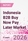 Indonesia B2B Buy Now Pay Later Business and Investment Opportunities Databook - 45+ KPIs on B2B BNPL Market Size, End-Use Sectors, Retail Product Categories, Sales Channels, Company Size, Market Share - Q2 2026 Update- Product Image