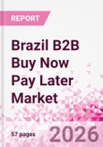 Brazil B2B Buy Now Pay Later Business and Investment Opportunities Databook - 45+ KPIs on B2B BNPL Market Size, End-Use Sectors, Retail Product Categories, Sales Channels, Company Size, Market Share - Q2 2026 Update- Product Image