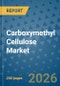 Carboxymethyl Cellulose Market Insights, Competitive Landscape, and Market Forecast - 2033 - Product Thumbnail Image