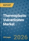 Thermoplastic Vulcanizates Market Insights, Competitive Landscape, and Market Forecast - 2033 - Product Thumbnail Image