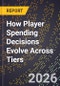 How Player Spending Decisions Evolve Across Tiers - Product Thumbnail Image