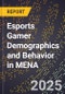Esports Gamer Demographics and Behavior in MENA - Product Thumbnail Image