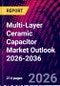 Multi-Layer Ceramic Capacitor Market Outlook 2026-2036 - Product Thumbnail Image