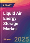 Liquid Air Energy Storage Market Size, Market Share, Application Analysis, Regional Outlook, Growth Trends, Key Players, Competitive Strategies and Forecasts, 2025 to 2033- Product Image