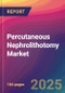 Percutaneous Nephrolithotomy Market Size, Market Share, Application Analysis, Regional Outlook, Growth Trends, Key Players, Competitive Strategies and Forecasts, 2025 to 2033 - Product Thumbnail Image