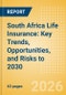South Africa Life Insurance: Key Trends, Opportunities, and Risks to 2030 - Product Thumbnail Image