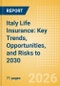 Italy Life Insurance: Key Trends, Opportunities, and Risks to 2030 - Product Thumbnail Image