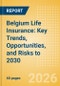 Belgium Life Insurance: Key Trends, Opportunities, and Risks to 2030 - Product Thumbnail Image