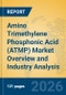 Amino Trimethylene Phosphonic Acid (ATMP) Market Overview and Industry Analysis - Product Thumbnail Image