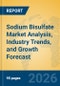 Sodium Bisulfate Market Analysis, Industry Trends, and Growth Forecast - Product Thumbnail Image
