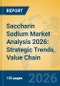 Saccharin Sodium Market Analysis 2026: Strategic Trends, Value Chain Insights, and Growth Forecasts - Product Thumbnail Image