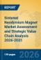 Sintered Neodymium Magnet Market Assessment and Strategic Value Chain Analysis 2026-2031 - Product Thumbnail Image