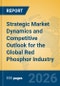 Strategic Market Dynamics and Competitive Outlook for the Global Red Phosphor Industry - Product Thumbnail Image