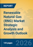 Renewable Natural Gas (RNG) Market Strategic Analysis and Growth Outlook- Product Image