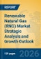 Renewable Natural Gas (RNG) Market Strategic Analysis and Growth Outlook - Product Thumbnail Image