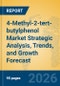 4-Methyl-2-tert-butylphenol Market Strategic Analysis, Trends, and Growth Forecast - Product Thumbnail Image
