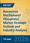 Resorcinol Bis(Diphenyl Phosphate) Market Strategic Outlook and Industry Analysis - Product Thumbnail Image