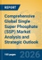 Comprehensive Global Single Super Phosphate (SSP) Market Analysis and Strategic Outlook - Product Thumbnail Image