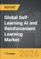 Self-Learning AI and Reinforcement Learning - Global Strategic Business Report - Product Thumbnail Image