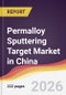 Permalloy Sputtering Target Market in China - Product Thumbnail Image