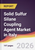 Solid Sulfur Silane Coupling Agent Market in Italy- Product Image