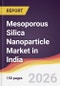Mesoporous Silica Nanoparticle Market in India - Product Thumbnail Image