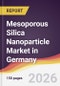 Mesoporous Silica Nanoparticle Market in Germany - Product Thumbnail Image