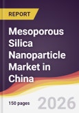 Mesoporous Silica Nanoparticle Market in China- Product Image