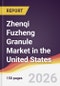 Zhenqi Fuzheng Granule Market in the United States - Product Image