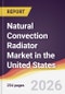 Natural Convection Radiator Market in the United States - Product Thumbnail Image