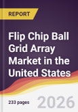 Flip Chip Ball Grid Array Market in the United States- Product Image